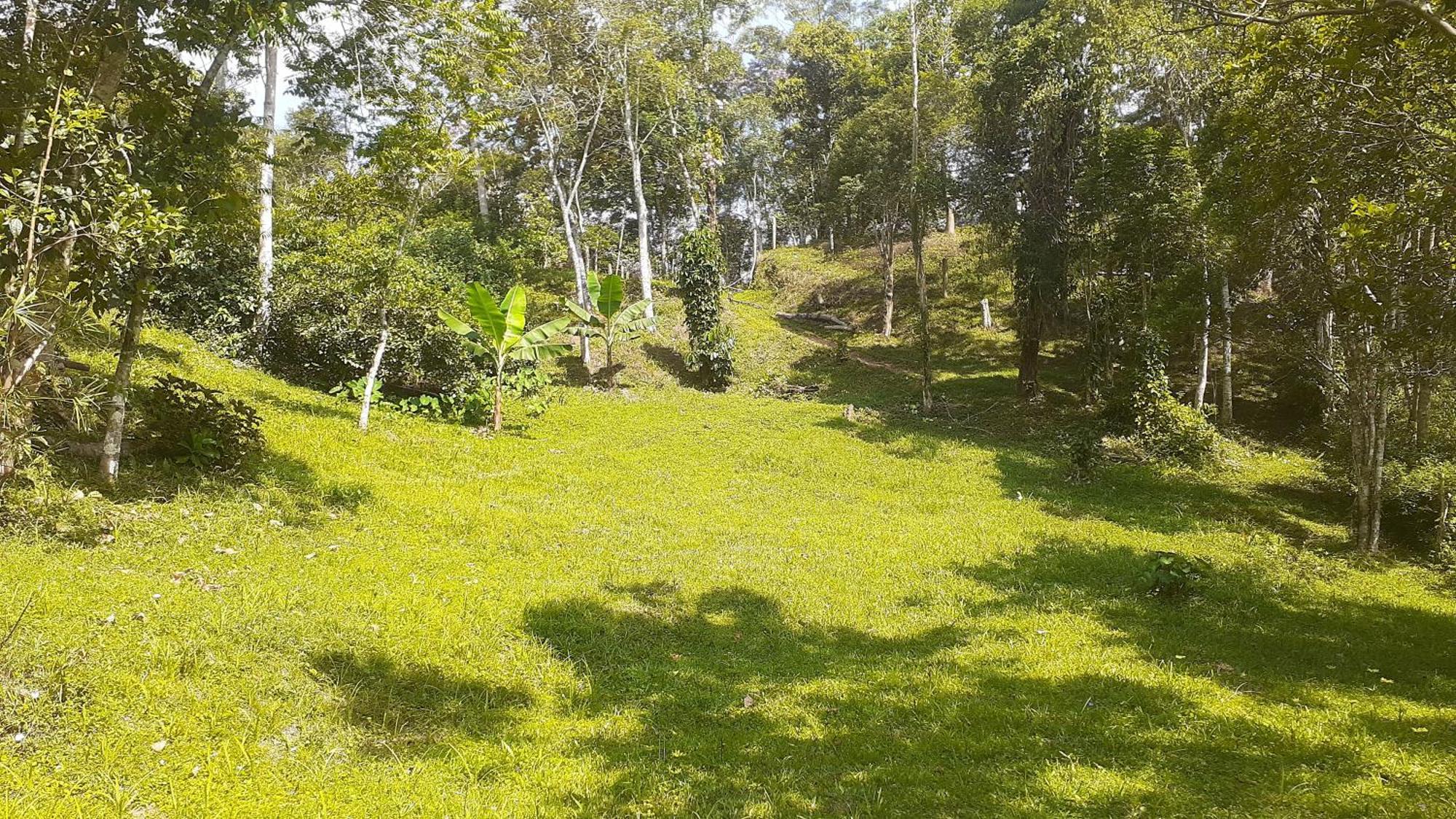 Kitnet Em Meio A Mata Atlantica Juquitiba Exterior foto