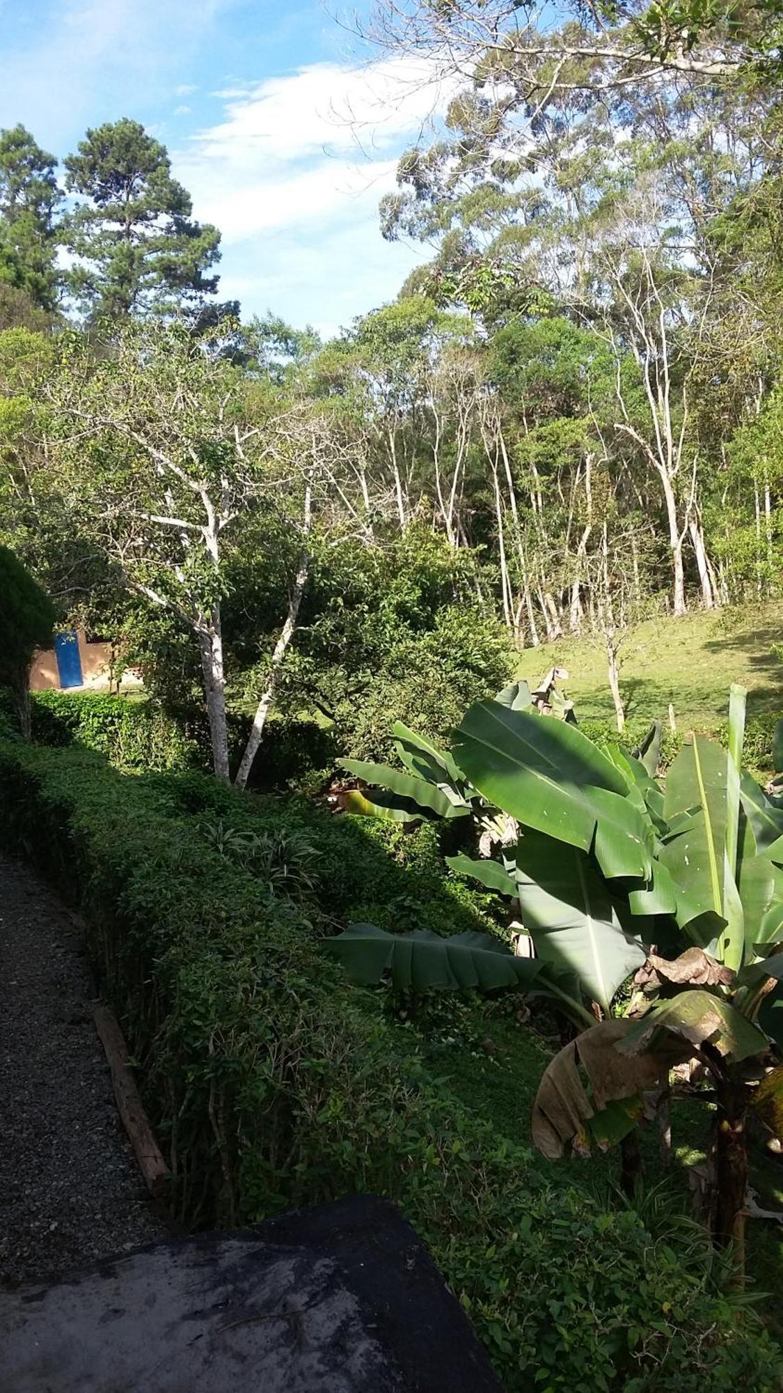 Kitnet Em Meio A Mata Atlantica Juquitiba Exterior foto