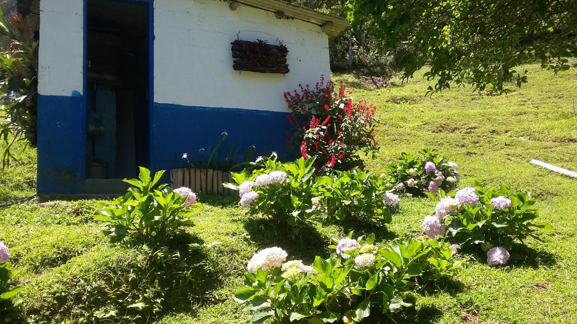 Kitnet Em Meio A Mata Atlantica Juquitiba Exterior foto